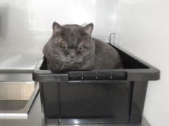DSCF1444.JPG