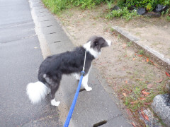 DSCF1447.JPG