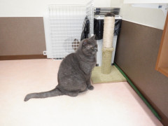 DSCF1458.JPG