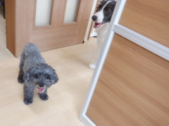 DSCF1461.JPG