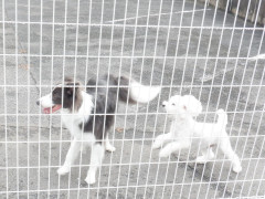 DSCF1469.JPG