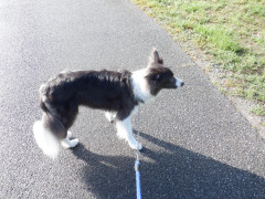 DSCF1467.JPG