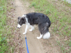 DSCF1485.JPG