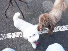DSCF1504.JPG