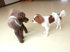 DSCF1515.JPG
