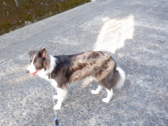 DSCF1527.JPG