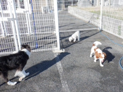DSCF1545.JPG