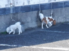 DSCF1538.JPG