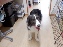DSCF1548.JPG