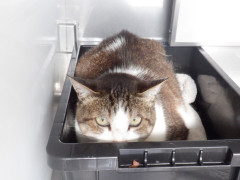 DSCF1640.JPG