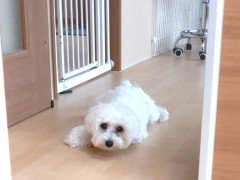 DSCF1648.JPG