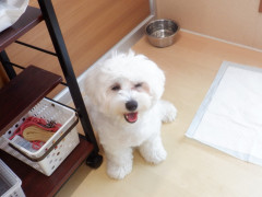 DSCF1656.JPG