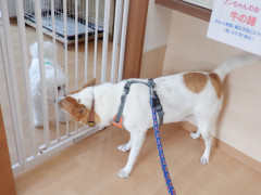DSCF1666.JPG
