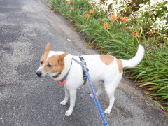 DSCF1671.JPG