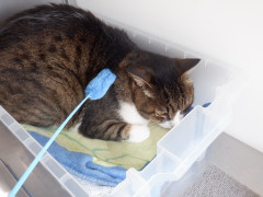 DSCF1672.JPG
