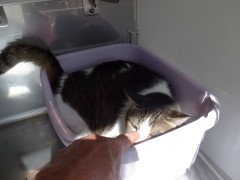 DSCF1673.JPG