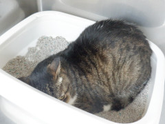 DSCF1683.JPG