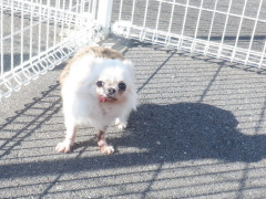DSCF1689.JPG