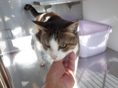DSCF1696.JPG