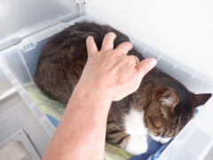 DSCF1704.JPG