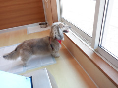 DSCF1708.JPG