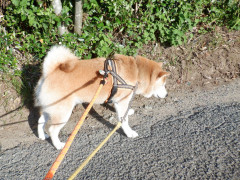 DSCF1712.JPG