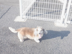 DSCF1720.JPG