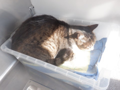 DSCF1727.JPG