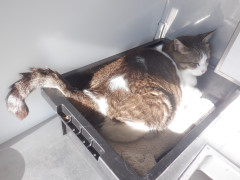 DSCF1730.JPG