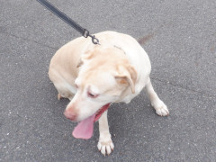 DSCF1759.JPG