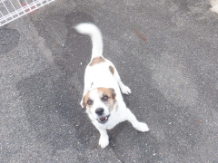 DSCF1744.JPG