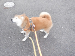 DSCF1740.JPG