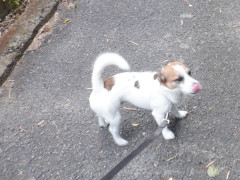 DSCF1769.JPG