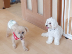 DSCF1784.JPG