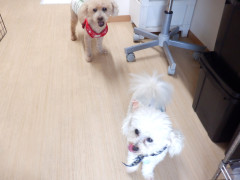 DSCF1797.JPG