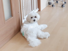 DSCF1852.JPG