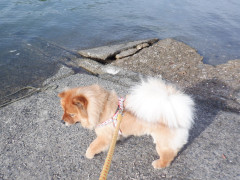 DSCF1849.JPG