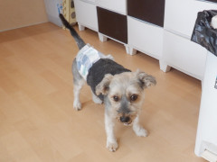 DSCF1864.JPG