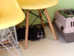 DSCF1878.JPG