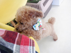 DSCF1887.JPG