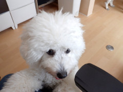 DSCF1928.JPG