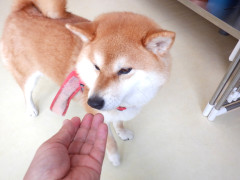 DSCF1958.JPG