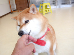 DSCF1975.JPG