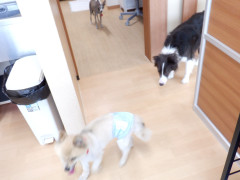 DSCF2011.JPG