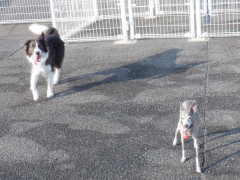 DSCF2033.JPG