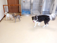 DSCF2048.JPG