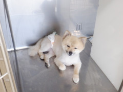 DSCF2059.JPG