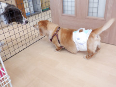 DSCF2071.JPG