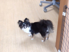 DSCF2081.JPG
