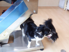 DSCF2073.JPG